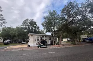 25235 NE 143rd Pl, Salt Springs, FL 32134 - Photo 6