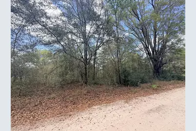 Lots 31-33 NW 52nd Avenue, Ocala, FL 34482 - Photo 2
