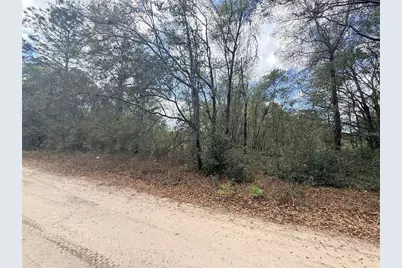 Lots 31-33 NW 52nd Avenue, Ocala, FL 34482 - Photo 6