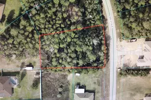 0 SW 41 Ave, Ocala, FL 34476 - Photo 1