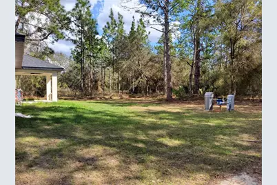12 Guava Terrace Radial, Ocklawaha, FL 32179 - Photo 4