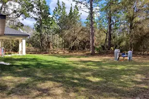 12 Guava Ter Radial, Ocklawaha, FL 32179 - Photo 4