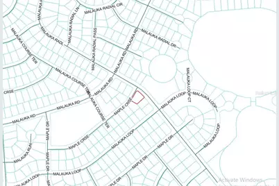 Lot 1 Maluka Radial, Ocklawaha, FL 32179 - Photo 6