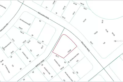 Lot 1 Maluka Radial, Ocklawaha, FL 32179 - Photo 4
