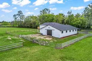 8251 NW 136th Ave Rd, Ocala, FL 34482 - Photo 56