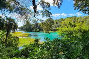 9916 SW 189th Cir, Dunnellon, FL 34432 - Photo 70