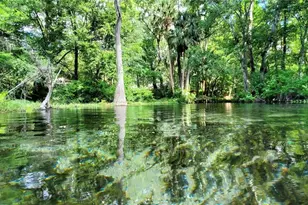 9916 SW 189th Cir, Dunnellon, FL 34432 - Photo 66