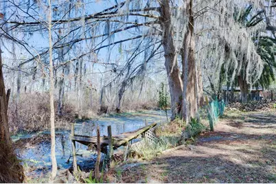 [Address not provided], Ocklawaha, FL 32179 - Photo 2