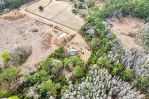 11535 Mattioda Rd, Groveland, FL 34736 - Photo 8