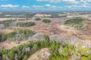 11535 Mattioda Rd, Groveland, FL 34736 - Photo 24