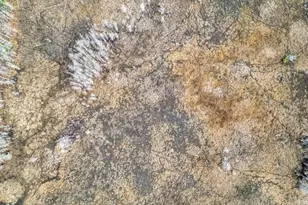 11535 Mattioda Rd, Groveland, FL 34736 - Photo 12