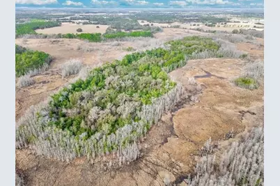 11535 Mattioda Road, Groveland, FL 34736 - Photo 22