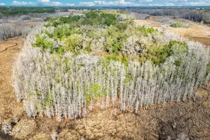 11535 Mattioda Rd, Groveland, FL 34736 - Photo 10