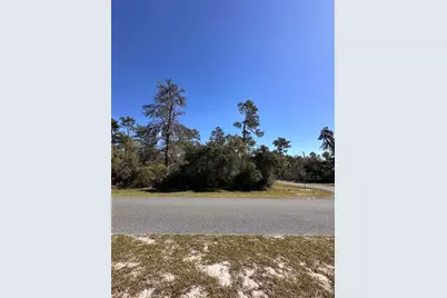 0 SW 36th Ave. Rd, Ocala, FL 34473 - Photo 8