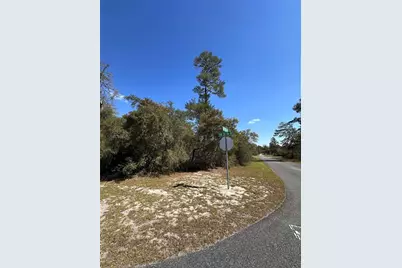 0 SW 36th Ave. Rd, Ocala, FL 34473 - Photo 4