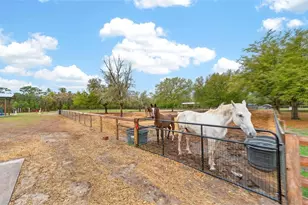 12650 SE 98 Ln, Dunnellon, FL 34431 - Photo 76