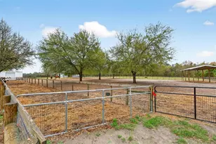 12650 SE 98 Ln, Dunnellon, FL 34431 - Photo 66