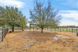 12650 SE 98 Ln, Dunnellon, FL 34431 - Photo 76