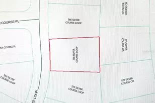 568 Silver Course Loop, Ocala, FL 34472 - Photo 24