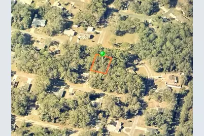 9948 N Sandree Drive, Citrus Springs, FL 34434 - Photo 2