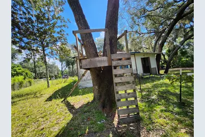 16930 SE 1st Lane, Silver Springs, FL 34488 - Photo 20