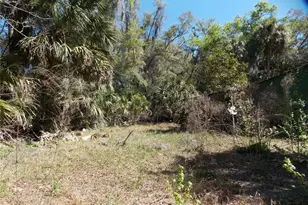 922 SE 119th Ave, Micanopy, FL 32667 - Photo 26