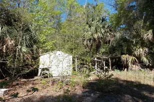 922 SE 119th Ave, Micanopy, FL 32667 - Photo 20