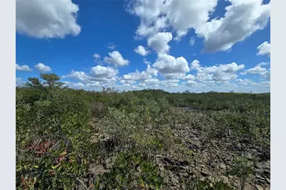 [Address not provided], Crystal River, FL 34429 - Photo 46