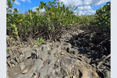 [Address not provided], Crystal River, FL 34429 - Photo 58