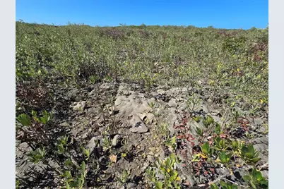 [Address not provided], Crystal River, FL 34429 - Photo 52