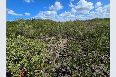 [Address not provided], Crystal River, FL 34429 - Photo 40