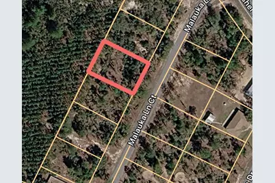 Malauka Lane Court, Ocklawaha, FL 32179 - Photo 1