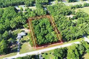 Tbd SW 57th Pl, Dunnellon, FL 34431 - Photo 1