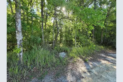 0000 SE 42nd Court, Belleview, FL 34420 - Photo 1