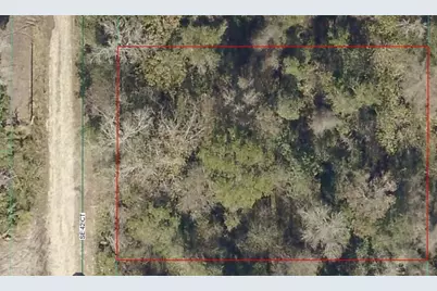 0000 SE 42nd Court, Belleview, FL 34420 - Photo 4