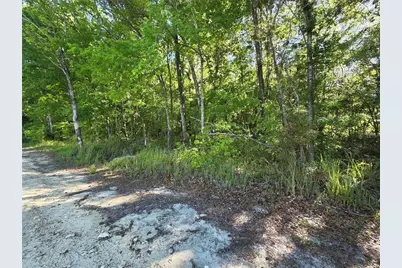 0000 SE 42nd Court, Belleview, FL 34420 - Photo 2