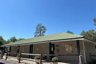 25247 NE 141st Ln, Fort Mc Coy, FL 32134 - Photo 32