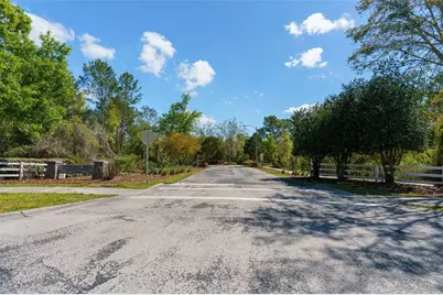 13454 Golden Lime Avenue, Spring Hill, FL 34609 - Photo 62