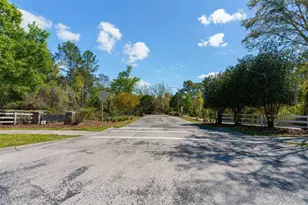 13454 Golden Lime Ave, Spring Hill, FL 34609 - Photo 62