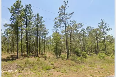 0 NW Water Oak #5, Dunnellon, FL 34431 - Photo 1