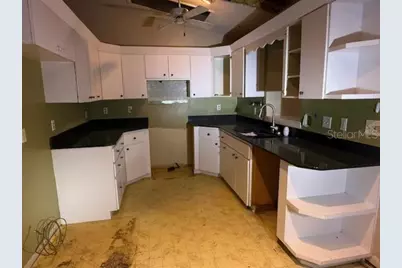 701 Madison Street, Tavares, FL 32778 - Photo 4