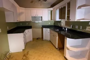 701 Madison St, Tavares, FL 32778 - Photo 4