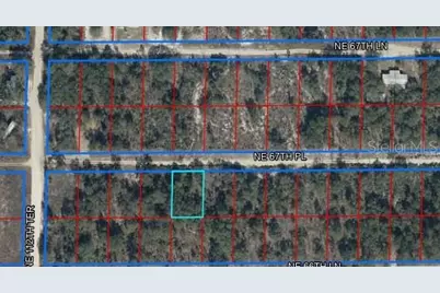 Ne 67th Place Lot 5, Williston, FL 32696 - Photo 1