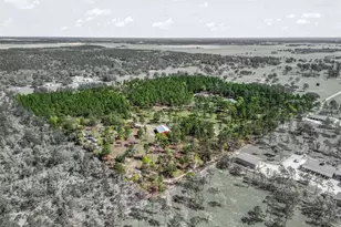 11370 SE 12 Ln, Morriston, FL 32668 - Photo 58