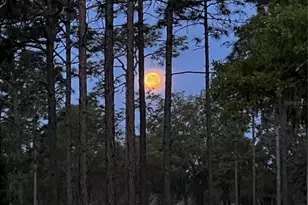 11370 SE 12 Ln, Morriston, FL 32668 - Photo 64