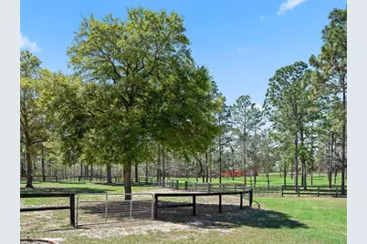 11370 SE 12th Lane, Morriston, FL 32668 - Photo 44