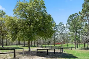 11370 SE 12 Ln, Morriston, FL 32668 - Photo 44
