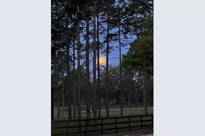 11370 SE 12th Lane, Morriston, FL 32668 - Photo 64