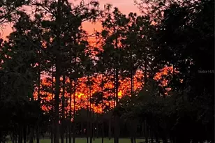 11370 SE 12 Ln, Morriston, FL 32668 - Photo 66