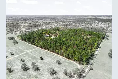 11370 SE 12th Lane, Morriston, FL 32668 - Photo 60